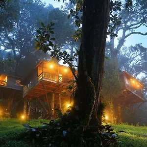 Resort Nature Zone Jungle, Munnar