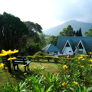 Camelot *** Munnar