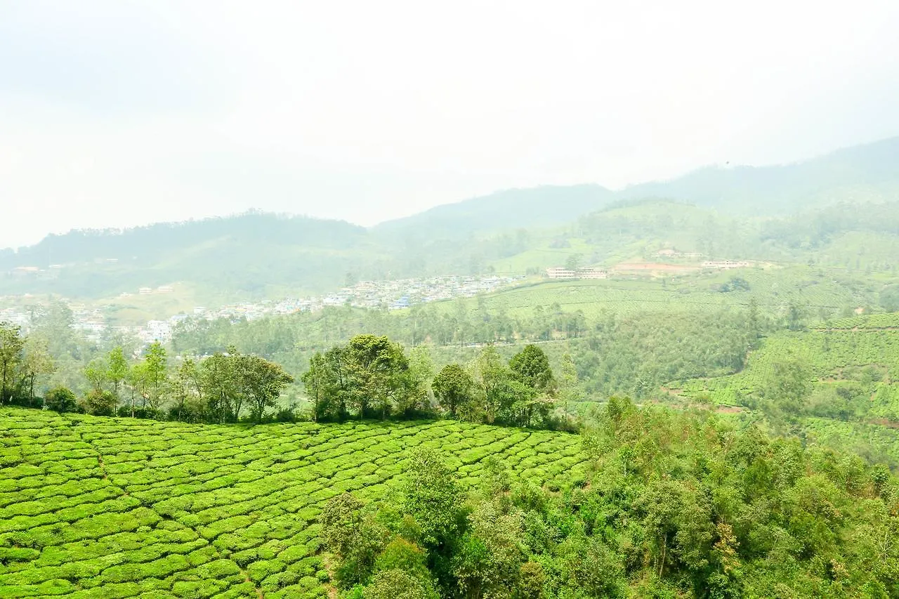 Hotel Diamond Hills Resort Munnar